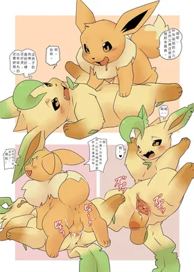 第 6 頁