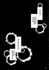 第 5 頁