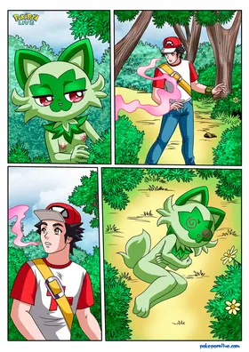 第 4 頁