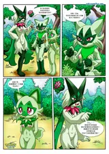 第 7 頁