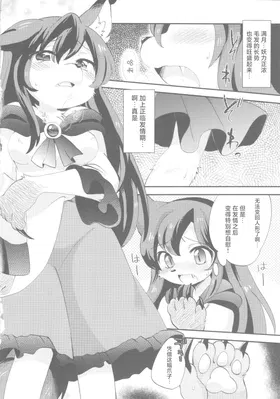 第 5 頁