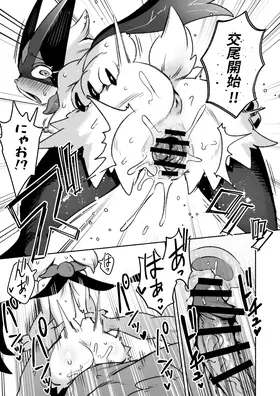 第 6 頁