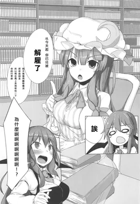 第 5 頁