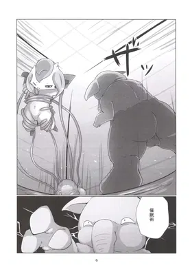 第 5 頁