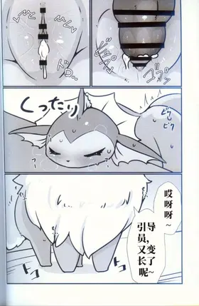 第 5 頁