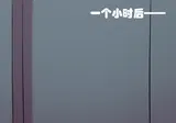 第 8 頁