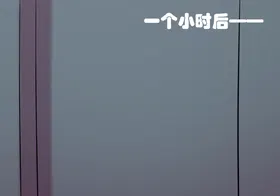 第 8 頁