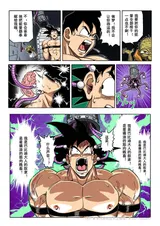 第 6 頁