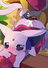 第 6 頁