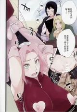 第 5 頁