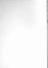 第 3 頁