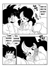 第 5 頁