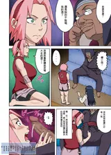 第 5 頁