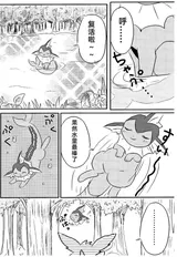 第 5 頁