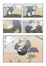 第 4 頁