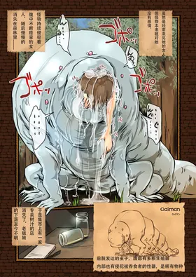 第 8 頁