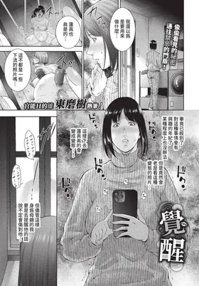第 3 頁