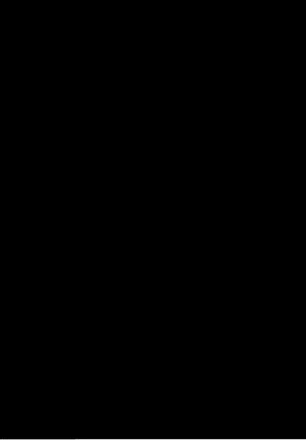 第 3 頁