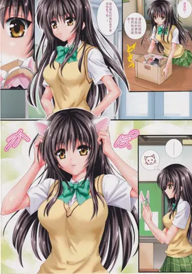 第 3 頁