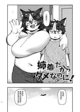 第 4 頁
