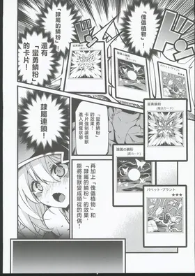 第 5 頁