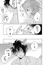 第 8 頁