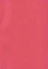 第 2 頁