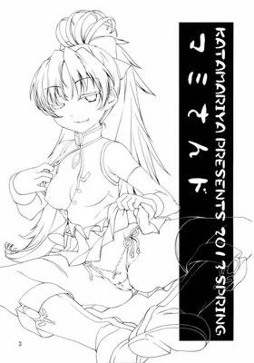 第 3 頁