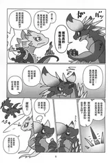 第 6 頁