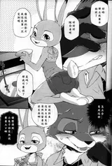 第 4 頁