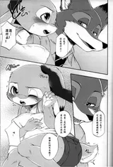 第 8 頁