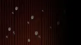 第 4 頁
