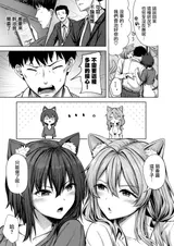 第 8 頁
