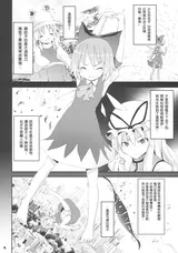 第 5 頁