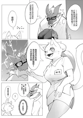 第 6 页