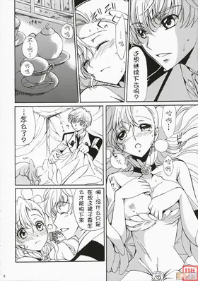 第 7 页