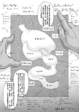 第 5 頁