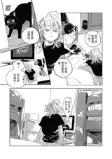第 8 頁