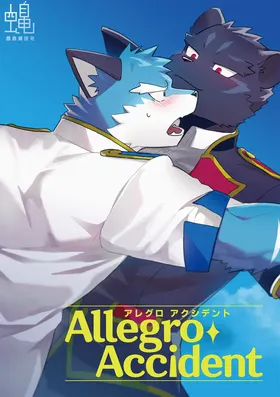 AllegroAccident[Chinese]