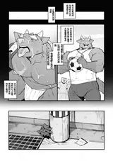 第 3 頁