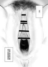 第 2 頁