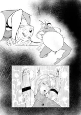 第 2 頁