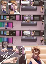 第 6 頁