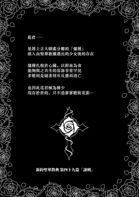 第 3 頁