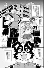 第 2 頁