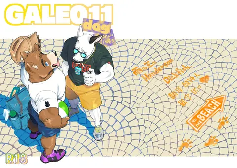 galeo11 dog