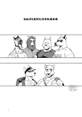 第 4 页