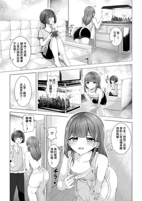 第 3 頁