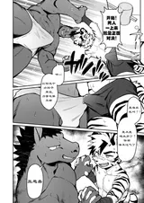 第 6 頁