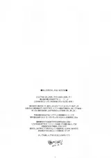 第 2 頁